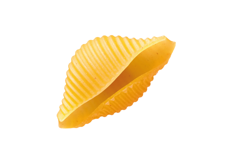 Pates en forme de coquillage sans gluten - Conchiglie rigate sans gluten - Massimo Zero - Senza G