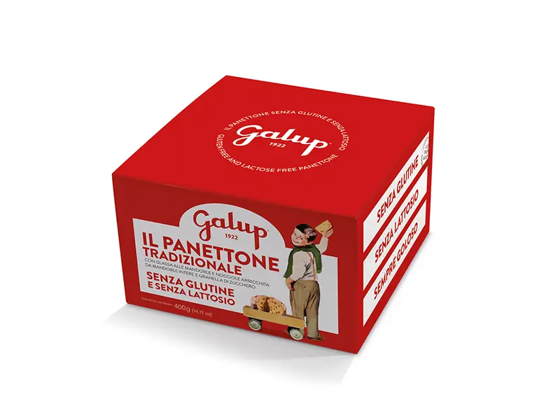 senza-g-panettone-classico-classic-galup-sans-gluten-suisse